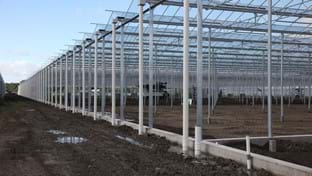 Luiten Kwekerij - 30.325 m²