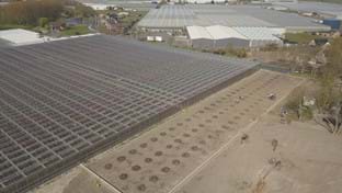 Kwekerij De Wintertuin - 3.131 m²