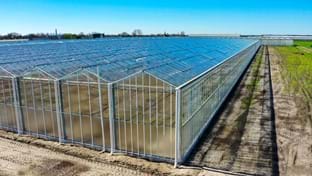 Klimplant CS - 12.803 m²