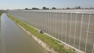 Coert van Dijk Roses - 25.206 m²