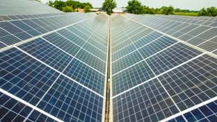 Hardeman - 2.815 m²