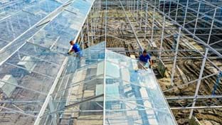 Erfgoed - Phase 2 - 3.955 m²