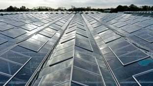 HOVO Plants - 6.048 m²