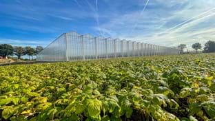 Kwekerij Maarten Bloemen - 9.331 m²