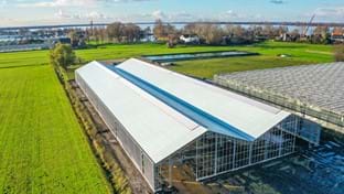 Engel Rozen - 3.595 m²
