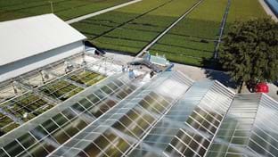 Kwekerij De Stadsweiden - Deck renovation - 4,000 m²