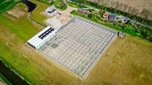 Bambusgärtnerei Hoekse Waard – 5.184 m²