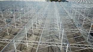 Kwekerij Maron - 10.137 m²