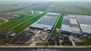 Kwekerij de Noordpoel - 20.232 m²