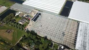 Kwekerij Maron - 10.137 m²