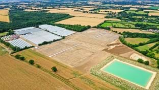 Berries Direct Farming - 64.560 m²