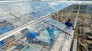 Erfgoed - Phase 2 - 3.955 m²