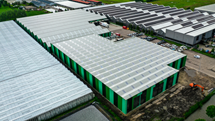 Aalsmeer - 4.759 m²