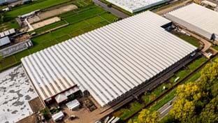 OTM Orchideen - Renovierung des Gewächshauses - 15.702 m²