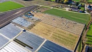 Vanda Flowers - 8.984 m²