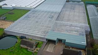 Kwekerij Aris - 5.645 m²