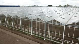 Ortolanda - Greenhouse relocation -  24.192 m²