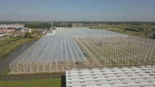 Coert van Dijk Roses - 25.206 m²