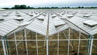 Ortolanda - Roof renovation - 6.000 m²