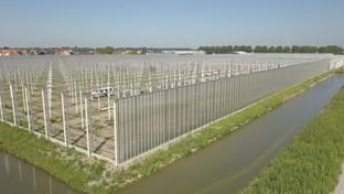 Coert van Dijk Roses - 25.206 m²