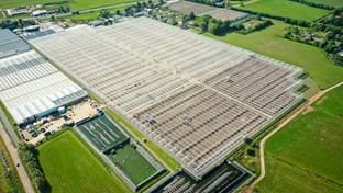 Schenkeveld – Terrassenrenovierung – 98.410 m²