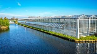 HOVO Plants - 6.048 m²