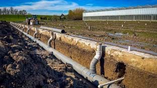 Pippel Bramen - Phase 2 - 7.577 m²