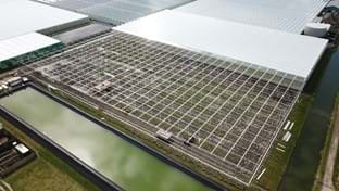 Van der Valk Groenesier - Fase 2 - 11.045 m²