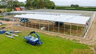 Bambusgärtnerei Hoekse Waard – 5.184 m²
