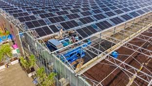 Protium - zonnepanelen - 13.478 m²