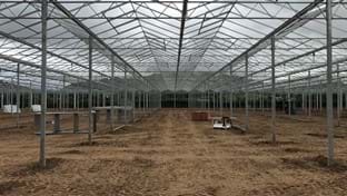 Haygrove - 9.664 m²