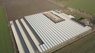 Venhorst - 7.072 m²