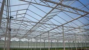 Pippel Bramen - Phase 2 - 7.577 m²