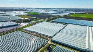 Pico Bello Hortensia - 2.821 m²