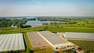 Pippel Bramen - Phase 2 - 7.577 m²