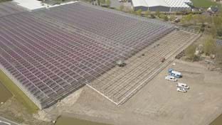 Kwekerij De Wintertuin - 3.131 m²