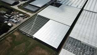 Plantenkwekerij André Van der Burg - Schermhal - 7.120 m²