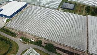 Ortolanda - Greenhouse relocation -  24.192 m²