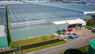 FBB Plant - Gevelrenovatie - 63 m¹
