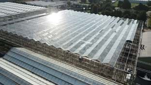 Kwekerij Maron - 10.137 m²