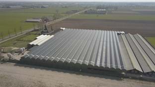 Venhorst - 7.072 m²