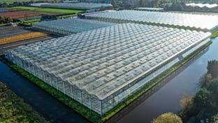 HOVO Plants - 6.048 m²