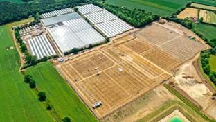 Berries Direct Farming - 64.560 m²