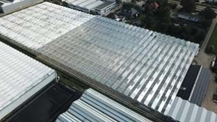 Kwekerij Maron - 10.137 m²