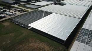 Plantenkwekerij André Van der Burg - Schermhal - 7.120 m²