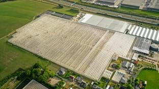 Schenkeveld – Terrassenrenovierung – 98.410 m²