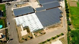 Hardeman - 2.815 m²