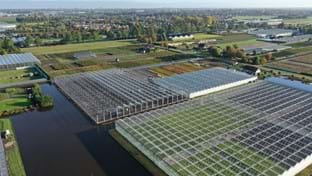 HOVO Plants - 6.048 m²