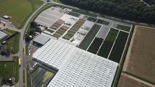 Flevo Flora - 5.755 m²