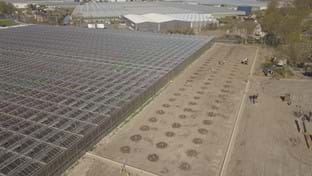 Kwekerij De Wintertuin - 3.131 m²